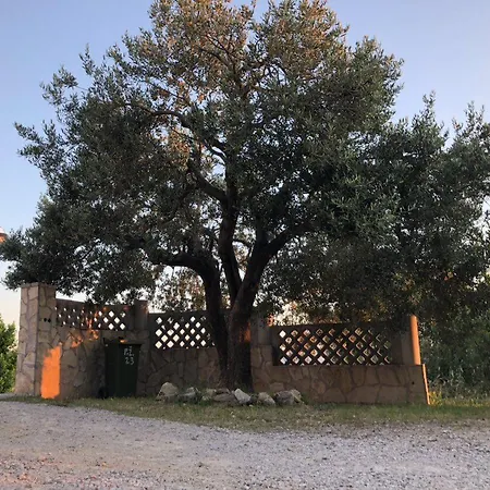Eko Villa Moca Makarska Exterior foto