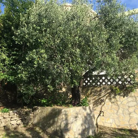 Eko Villa Moca Makarska Exterior foto