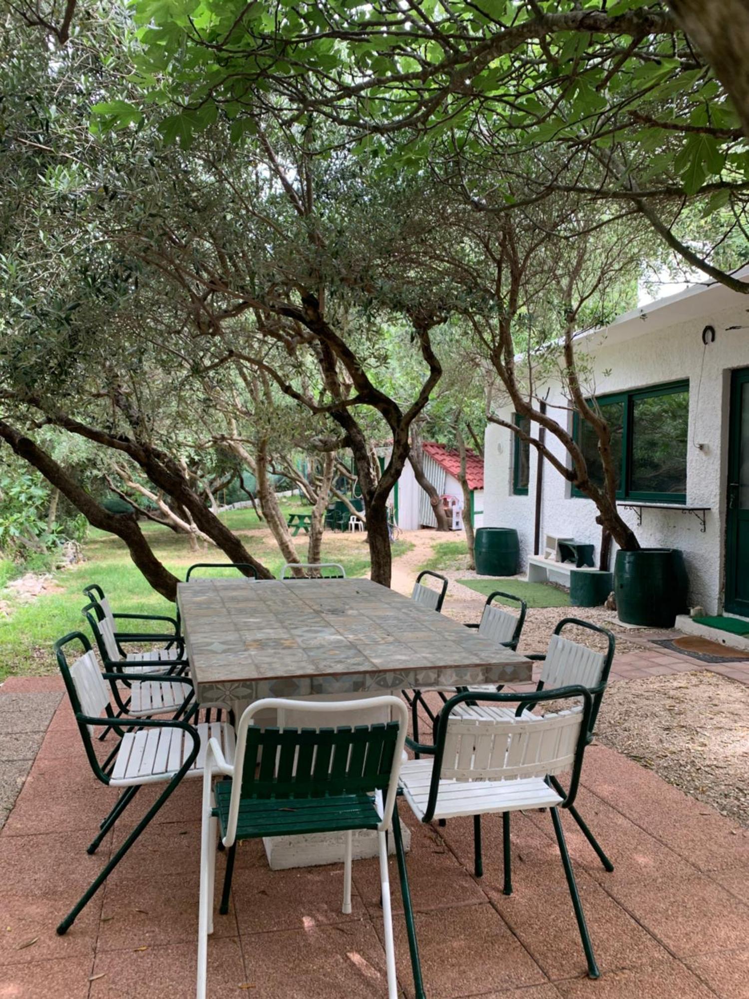 Apartment Eko Moca Makarska