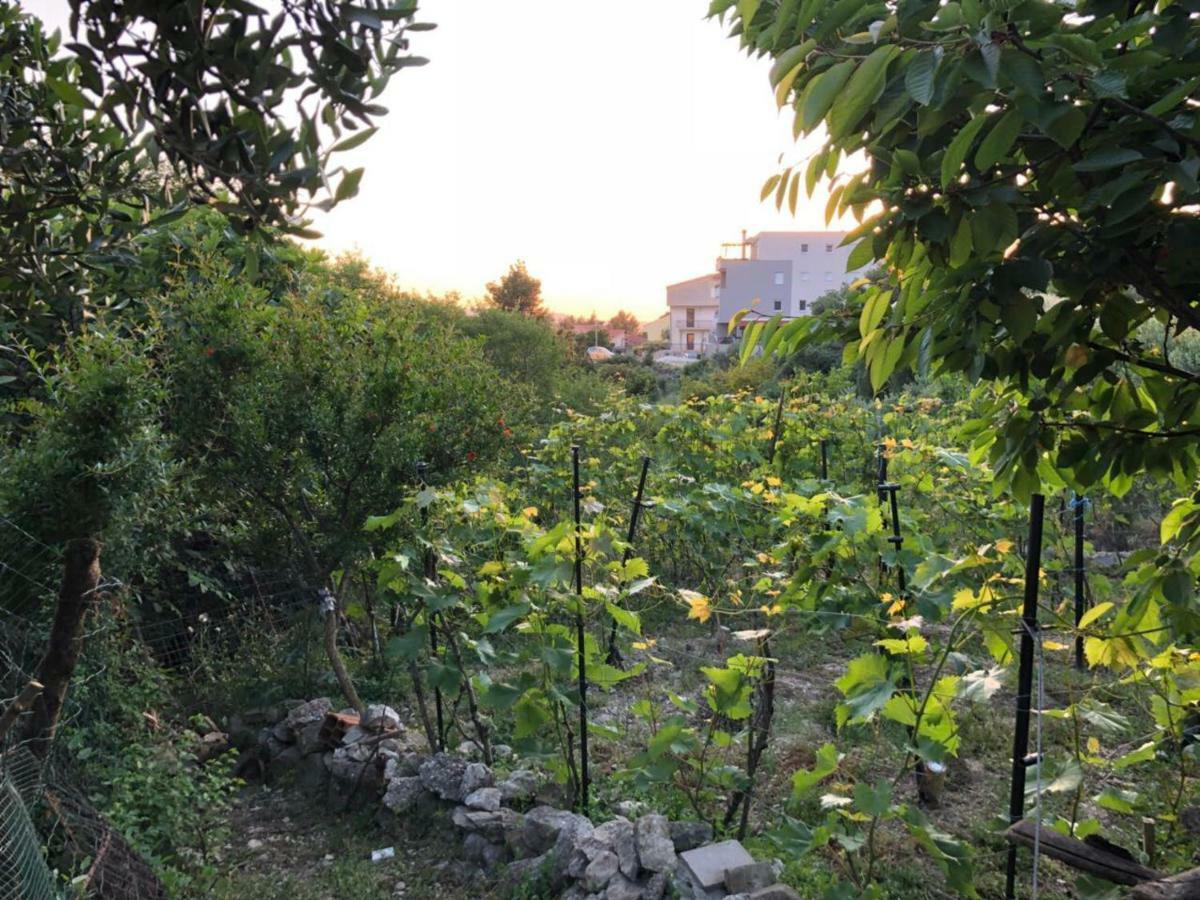 Eko Moca Apartman Makarska