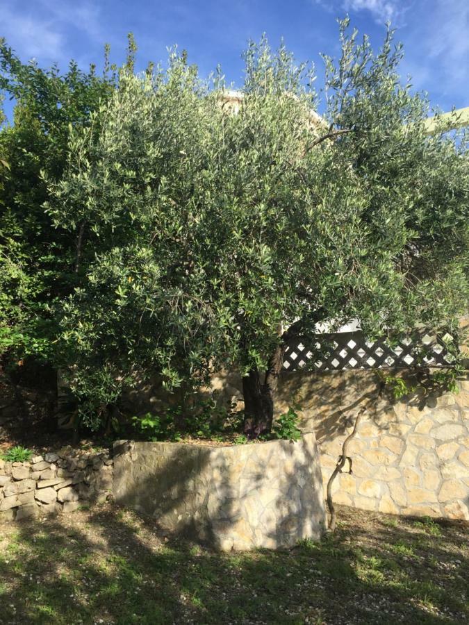 Apartament Eko Moca